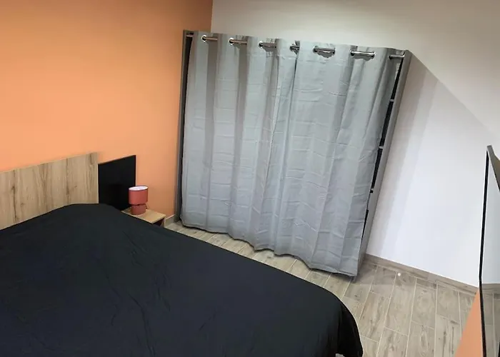 Piscine/spa Privé Intérieur 33° Zoo De 24h Du Mans Villa La Flèche