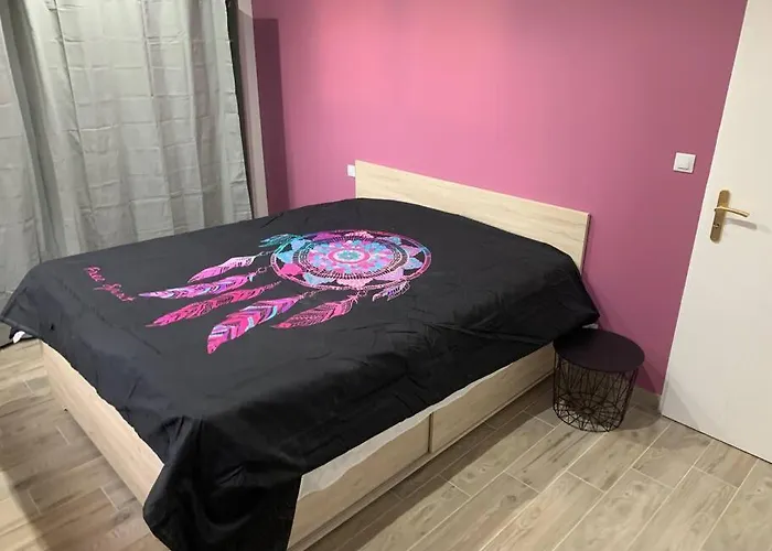 Piscine/spa Privé Intérieur 33° Zoo De 24h Du Mans Villa La Flèche