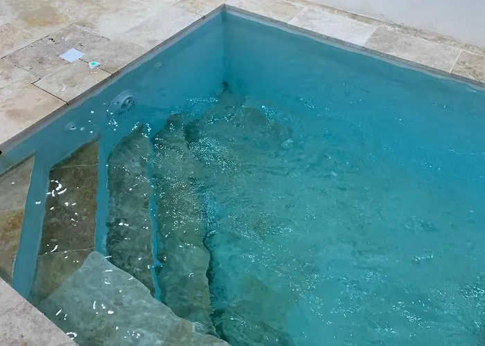 Piscine/spa Privé Intérieur 33° Zoo De 24h Du Mans Villa *