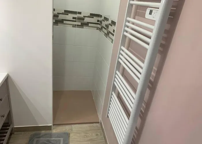 Piscine/spa Privé Intérieur 33° Zoo De 24h Du Mans Villa *