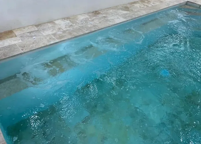 Piscine/spa Privé Intérieur 33° Zoo De 24h Du Mans Villa *