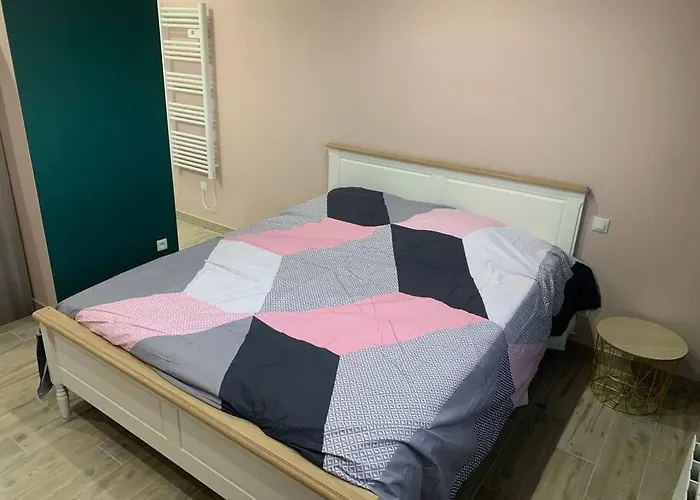 Piscine/spa Privé Intérieur 33° Zoo De 24h Du Mans *