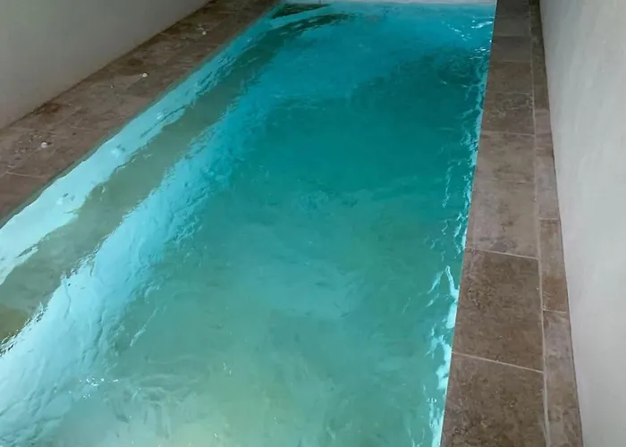 Piscine/spa Privé Intérieur 33° Zoo De 24h Du Mans * La Flèche