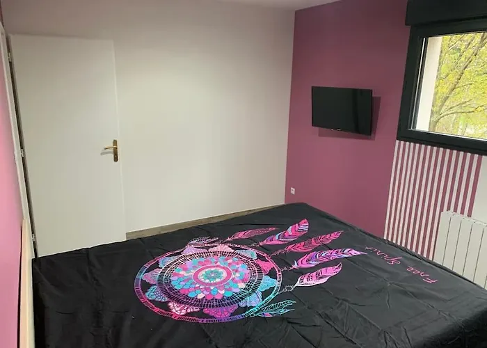 Piscine/spa Privé Intérieur 33° Zoo De 24h Du Mans La Flèche