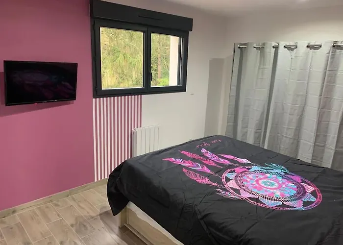 Piscine/spa Privé Intérieur 33° Zoo De 24h Du Mans Villa