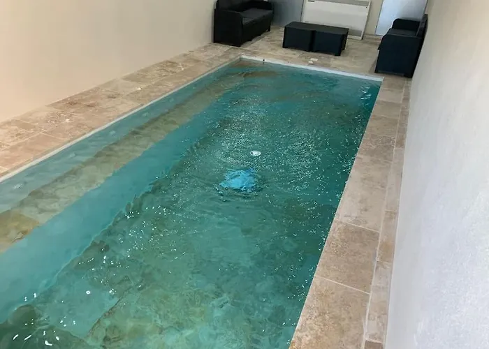 Piscine/spa Privé Intérieur 33° Zoo De 24h Du Mans